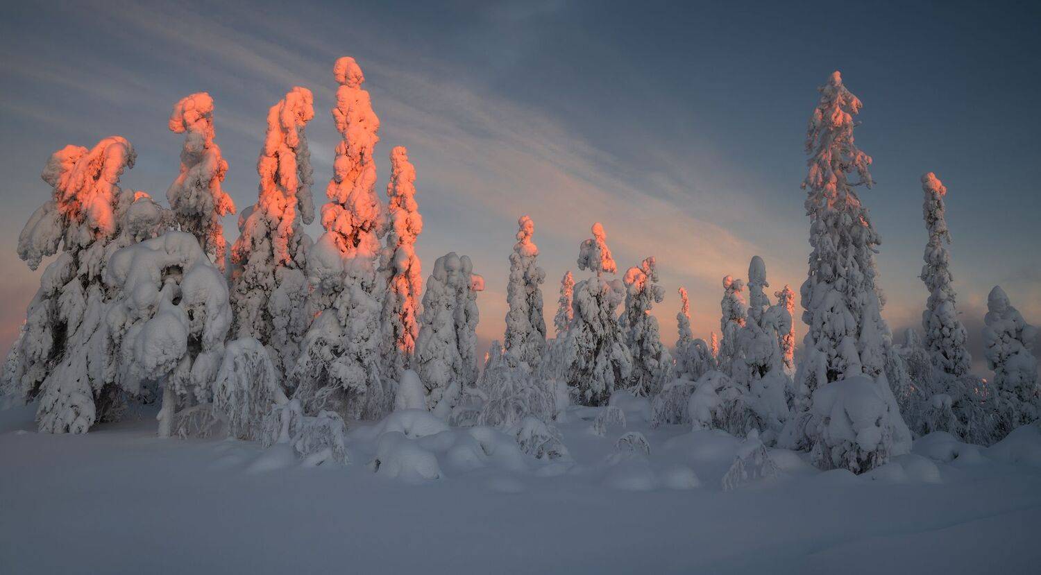 , Виталий Истомин
