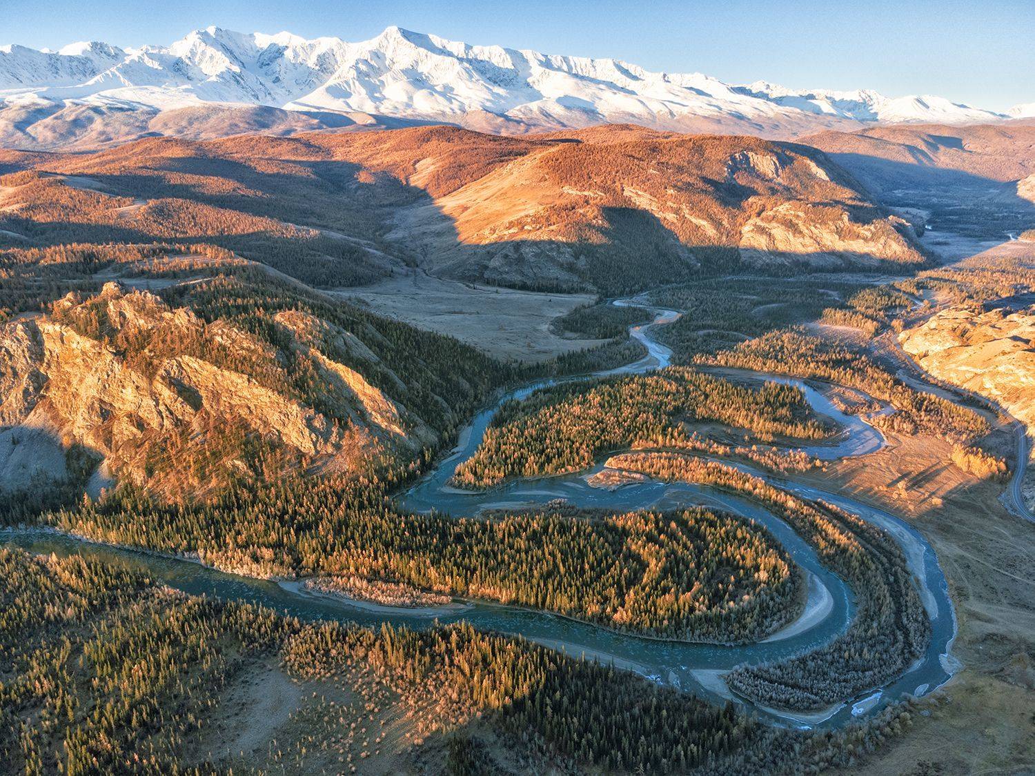 , Лариса Николаевна Дука
