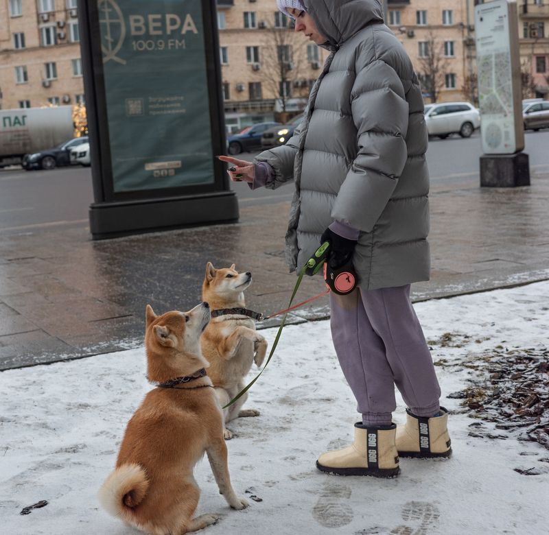 фото превью