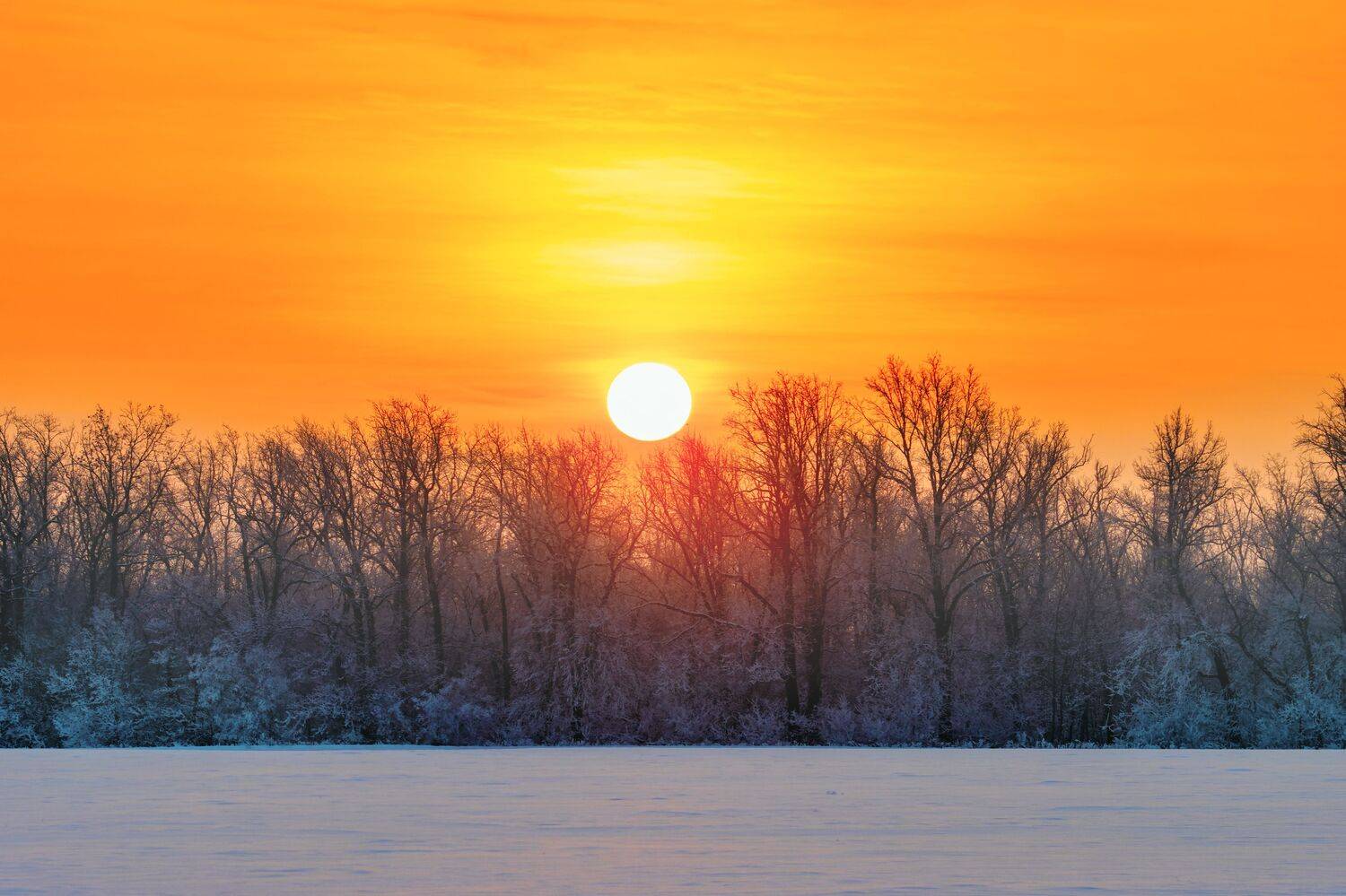 утро, восход, зима, Глебов Сергей