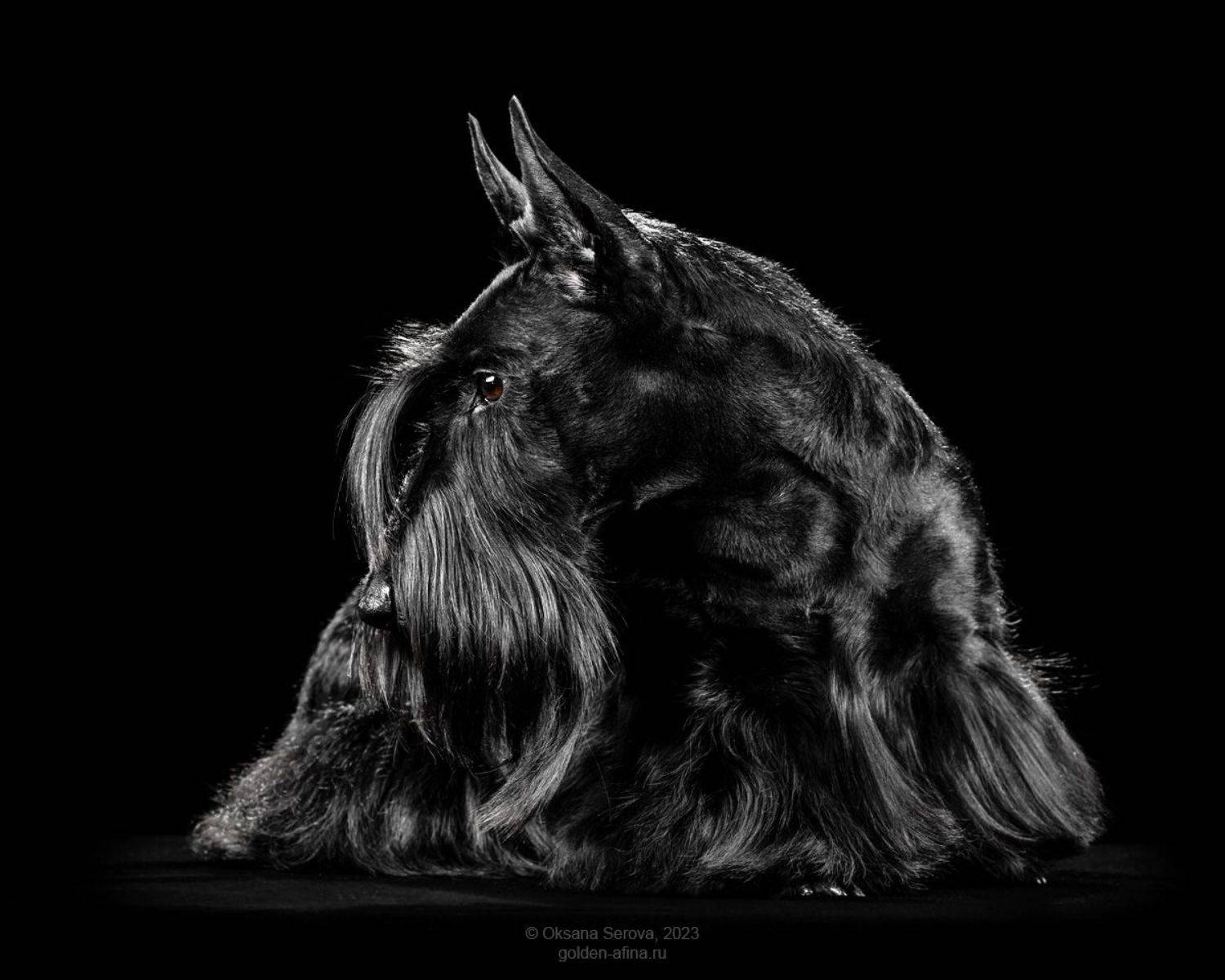 , Оксана Серова