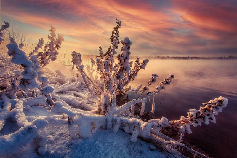 Холодище фото превью