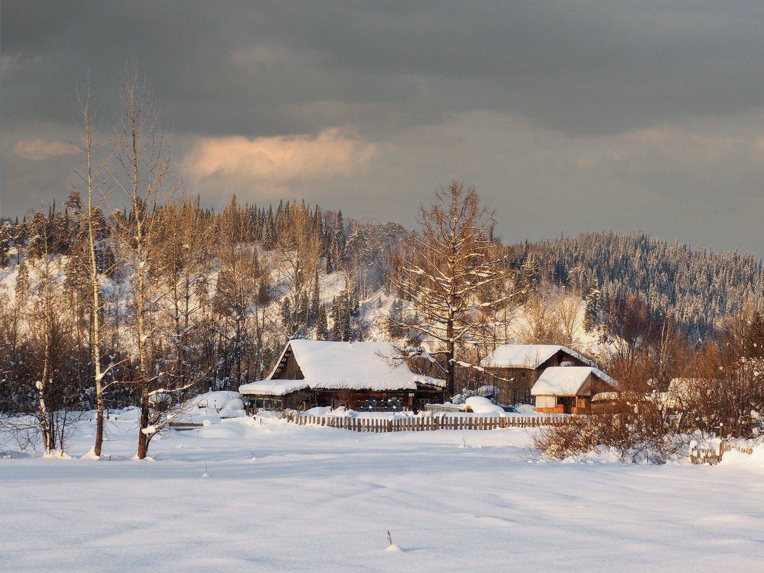 Сибирь, Кузбасс, Междуреченск, Галина Хвостенко