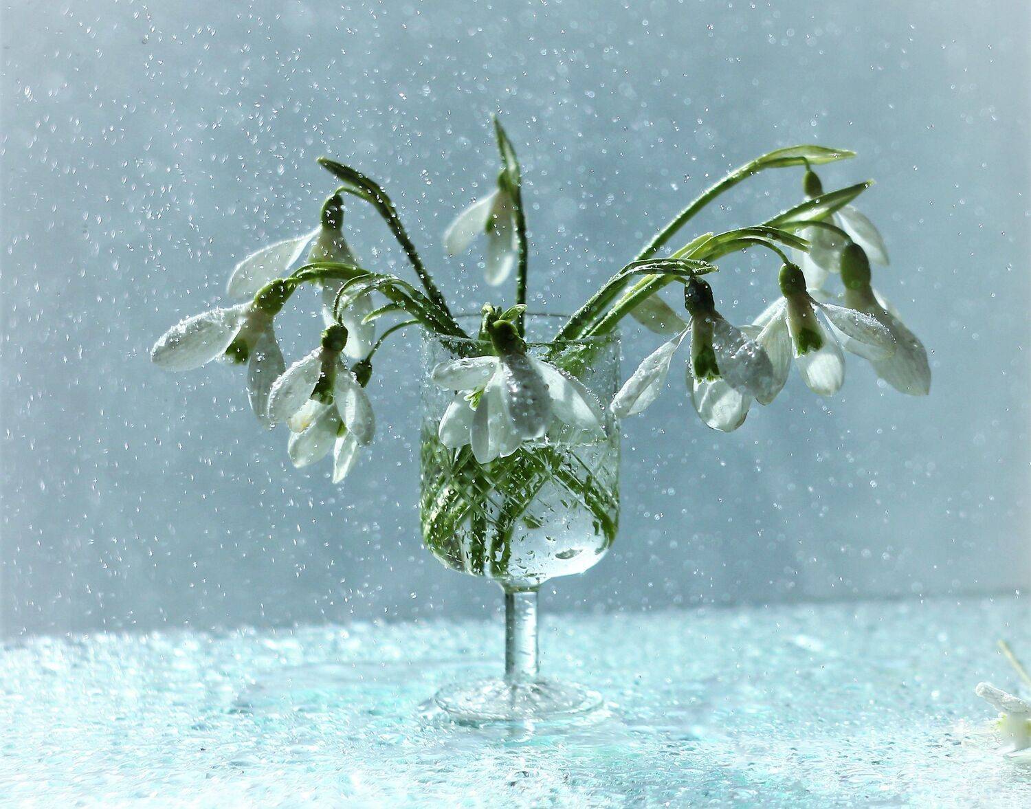 , Людмила Хрусталева*