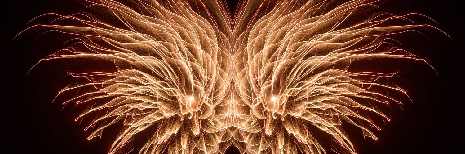 phoenix,, Shota.Nagase