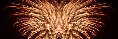 Phenix（Symmetry series）#5