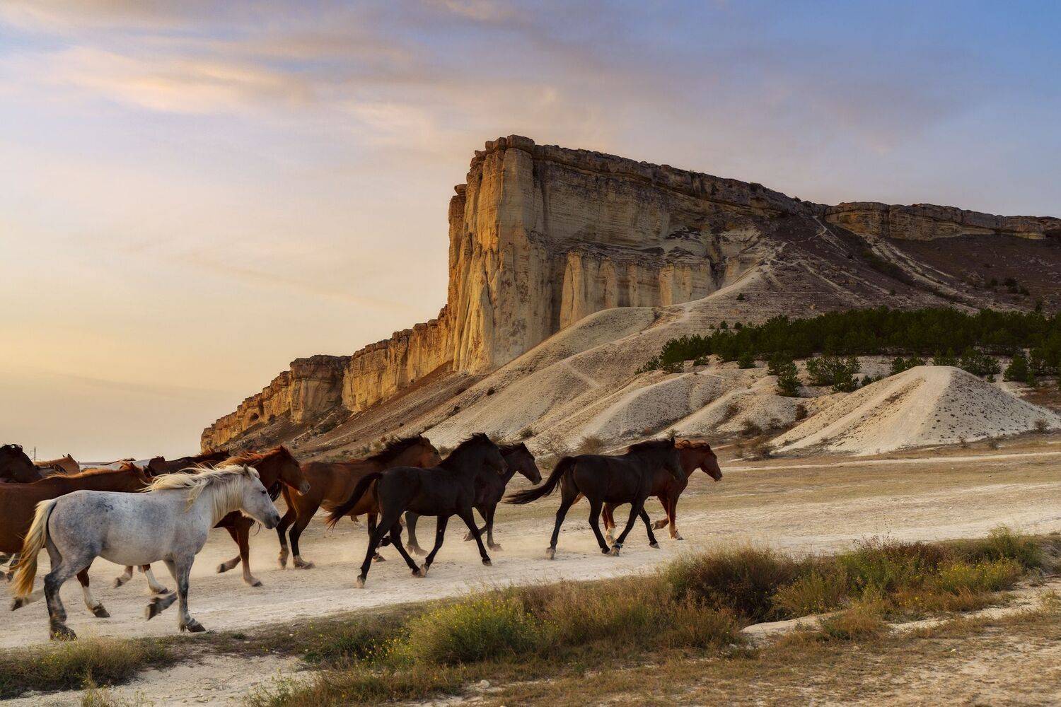 , Юлия Мальцева