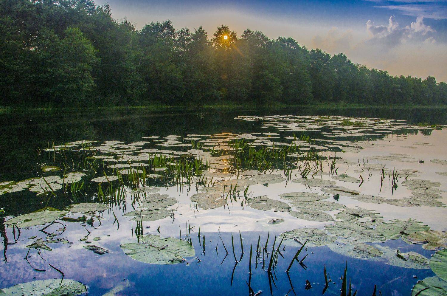 , Александр Березуцкий