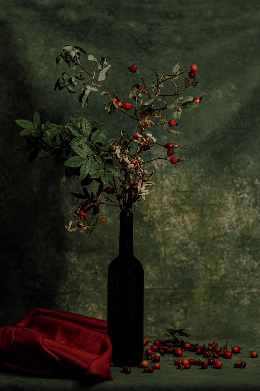 Шиповник фото превью