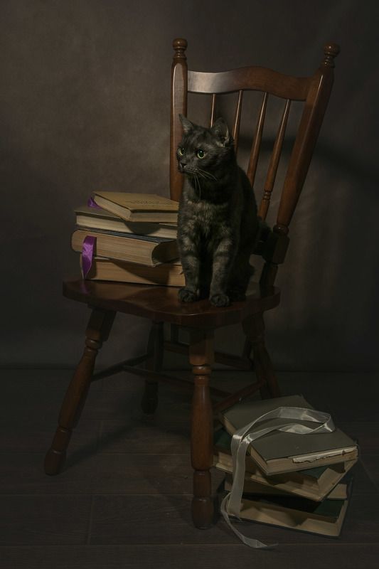 критик фото превью