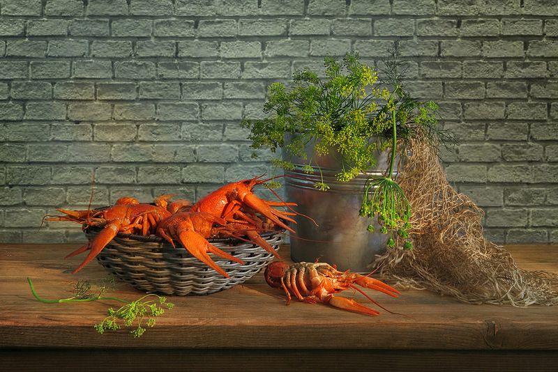 Раки фото превью