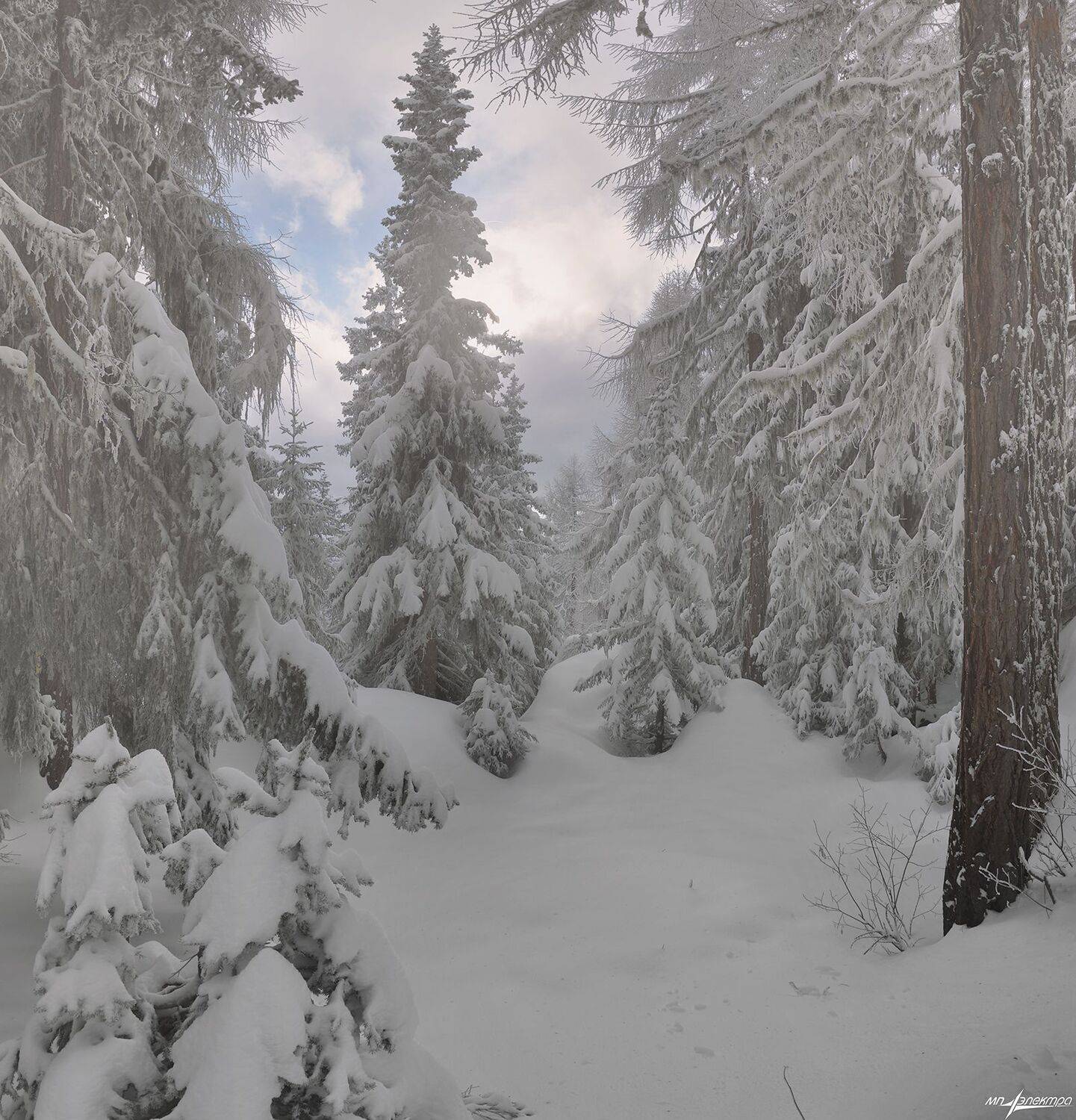 swiss,bettmeralp,зима, Матвеев Николай