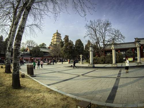 大慈恩寺——雁塔