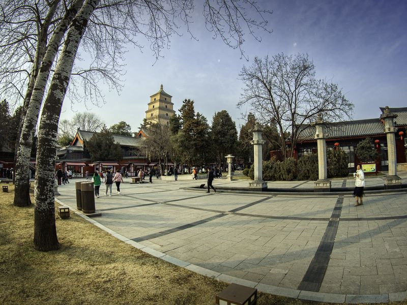 大慈恩寺——雁塔 大慈恩寺——雁塔 фото превью