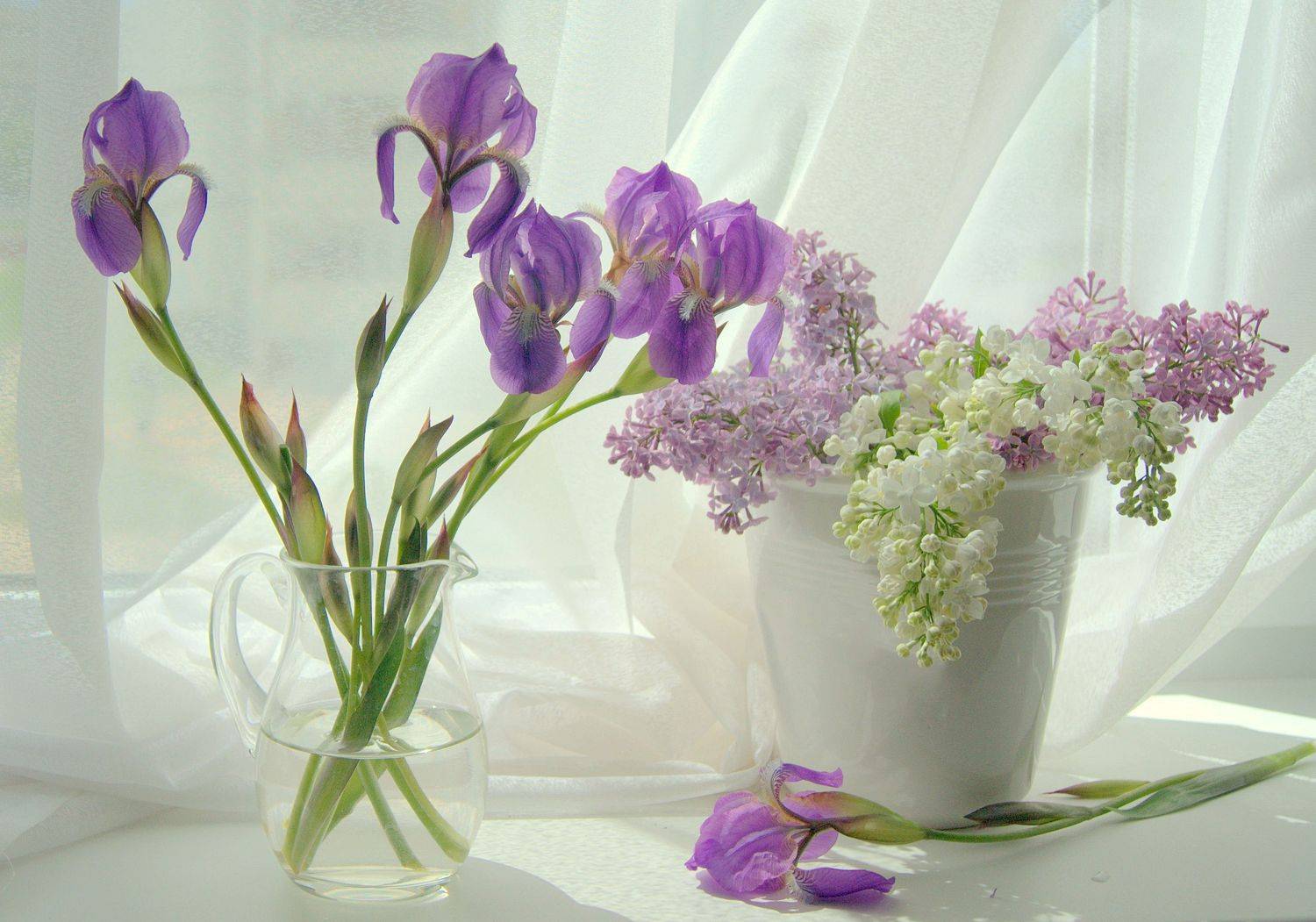 , Хохлова Наталья