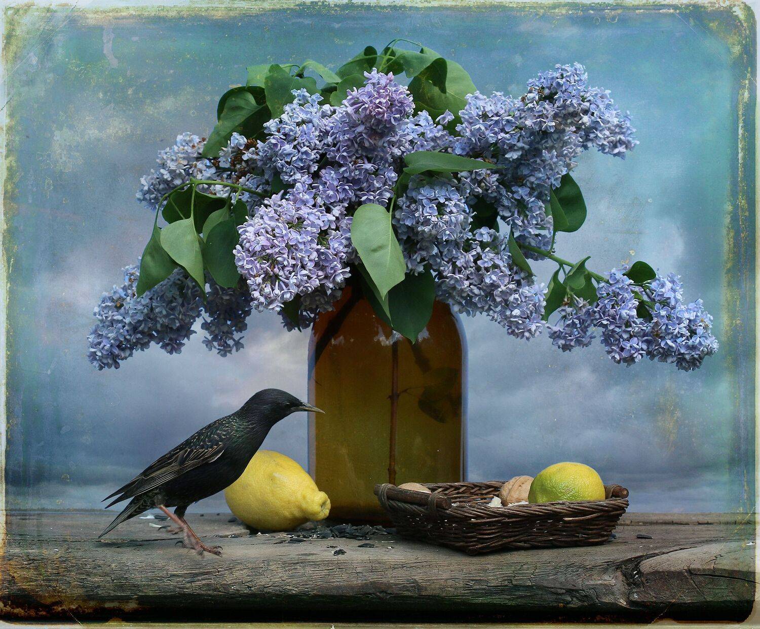 скворец, Хромушин Олег