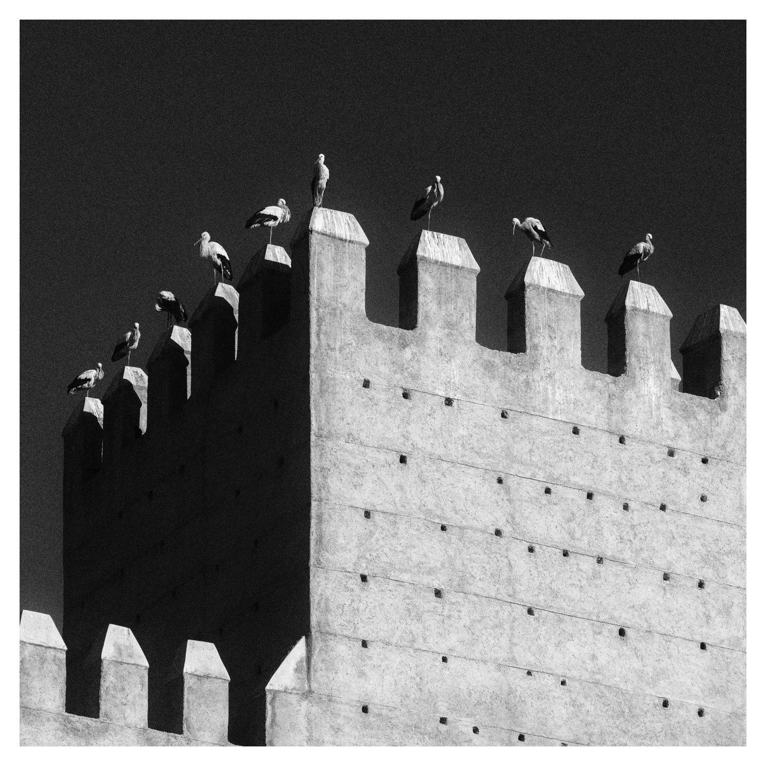 , Станислав