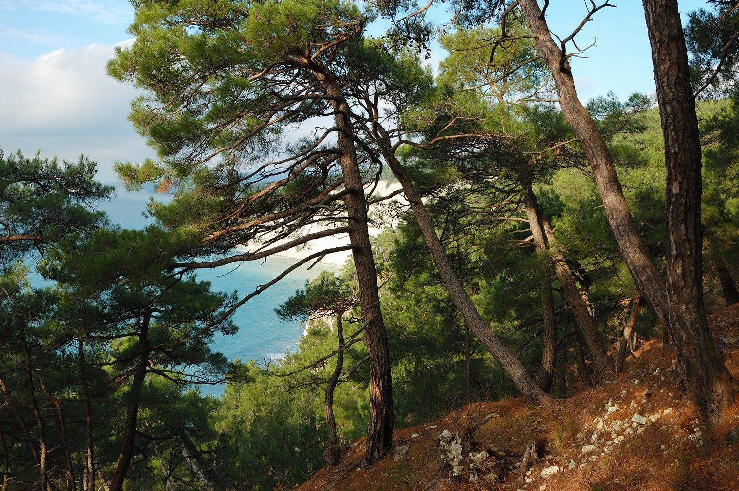 , Сергей Тихомиров