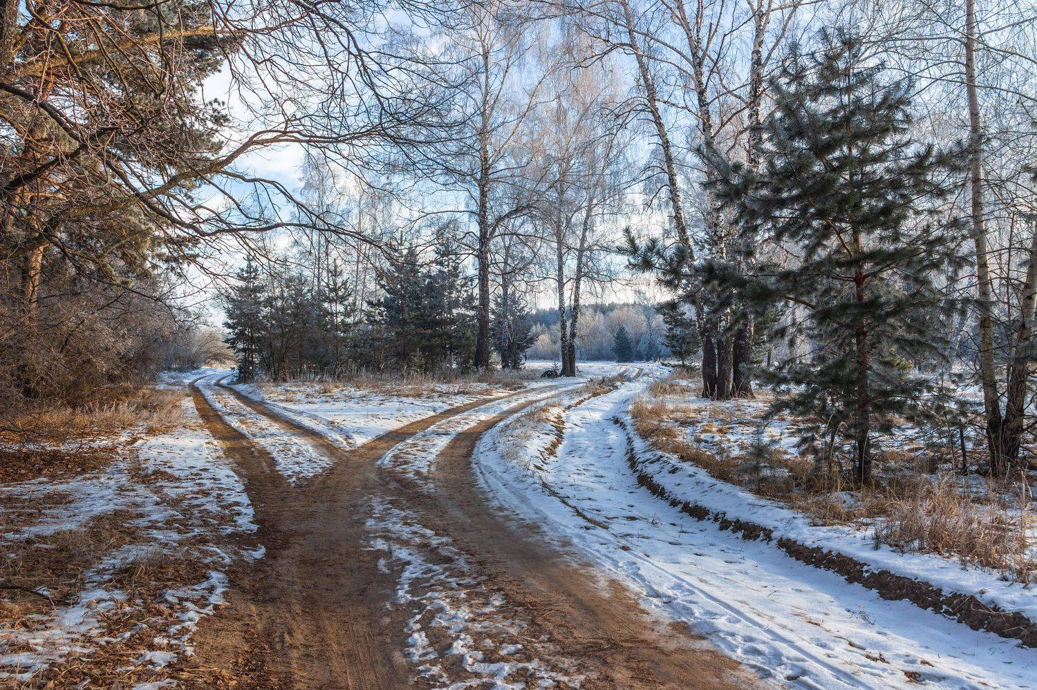 зима, заповедник, лес, снег, иней, природа, Востриков Руслан