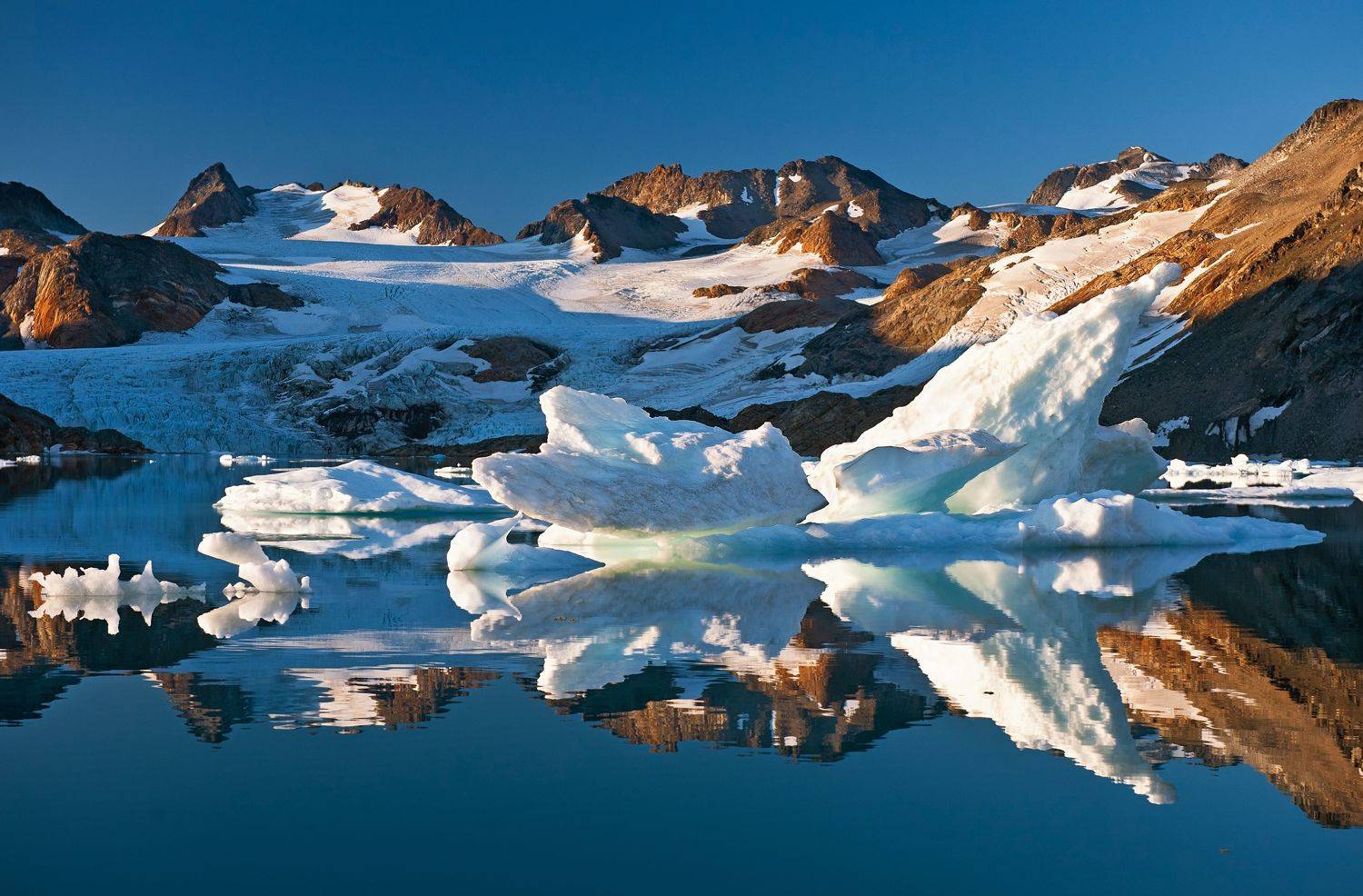 , Ольга Афанасенко