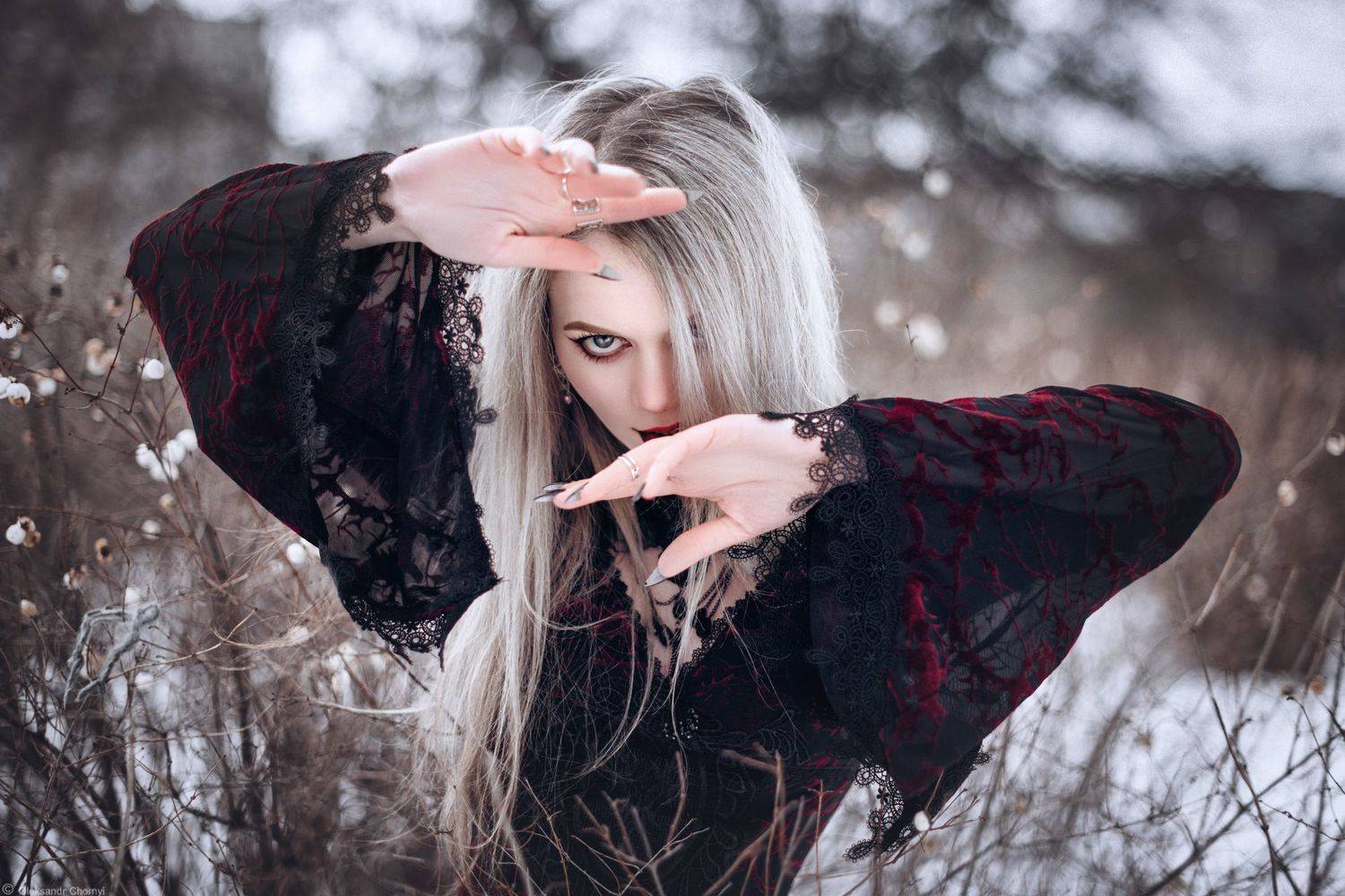 , Александр Чорный