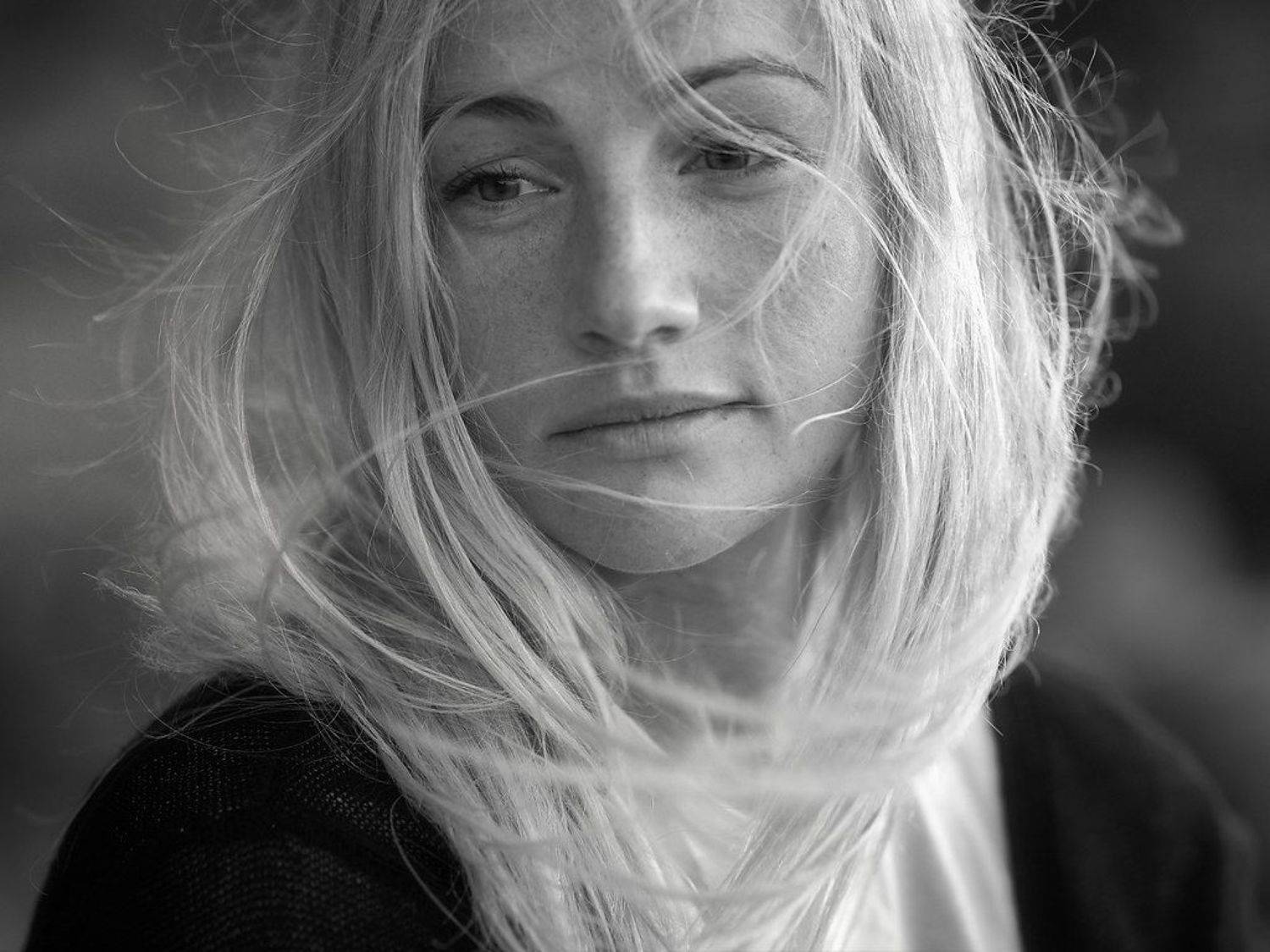 , Покровский Антон