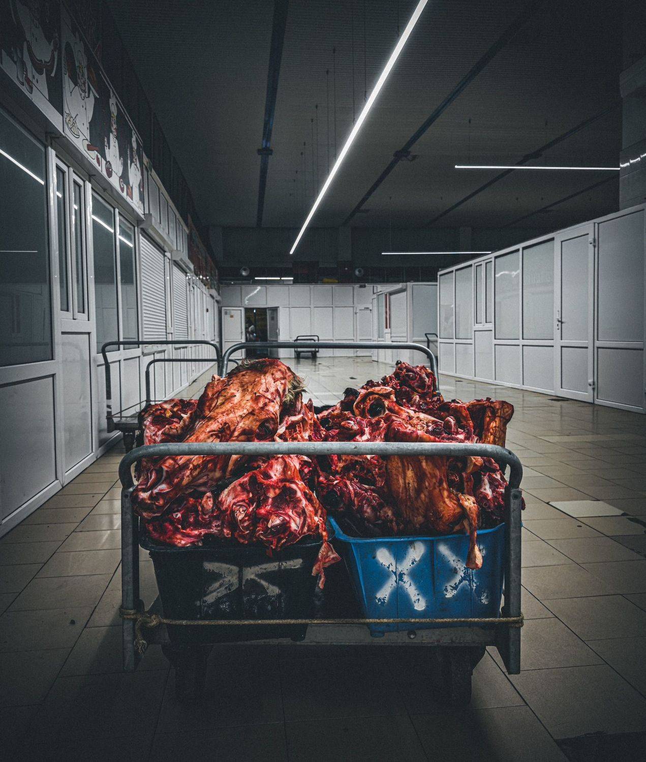 , Karina Aleksandrova