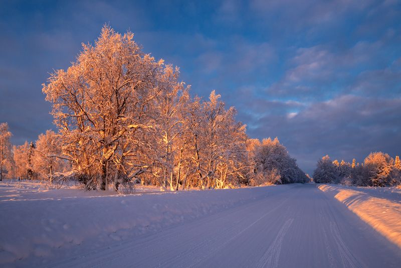 север, кольский, хибины, заполярье, Белая дорога фото превью