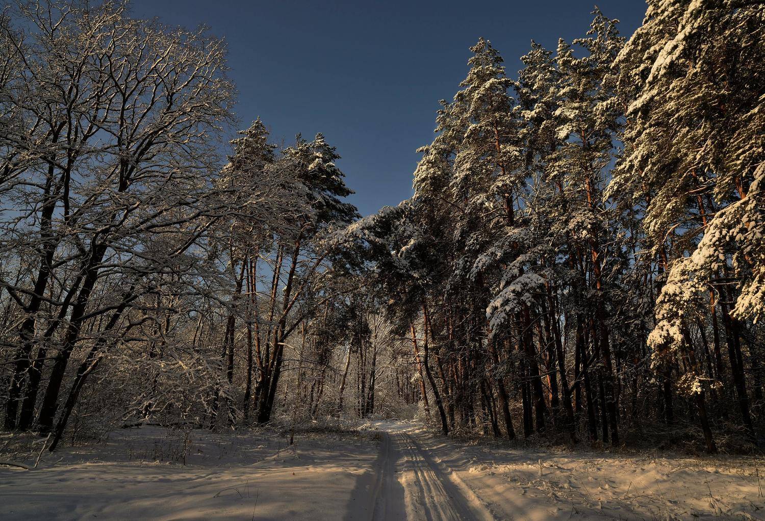 , Андрей Балабин