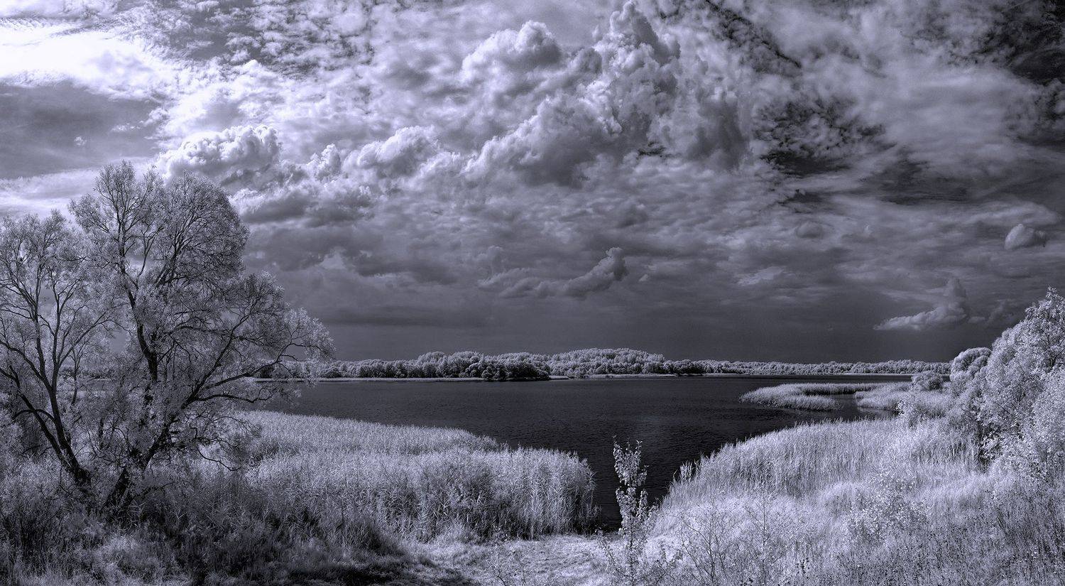 infrared,ик-фото,инфракрасное фото, инфракрасная фотография, пейзаж, лето,  Sixten (Сергей)