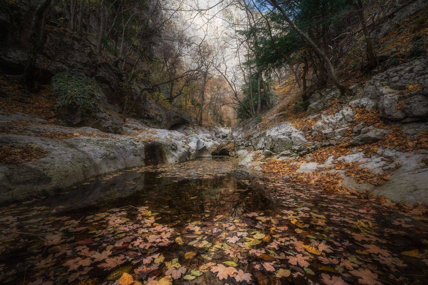 крым, большой каньон, осень,, Черкасов Сергей