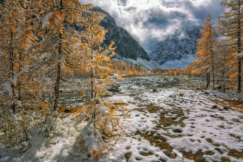 На солнечной опушке