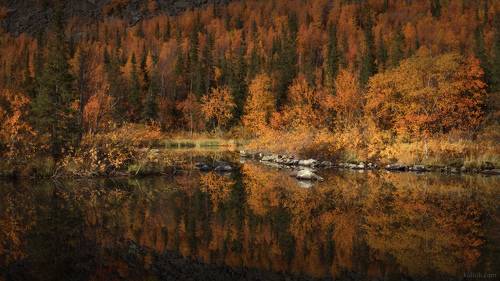 Осеннее погружение
