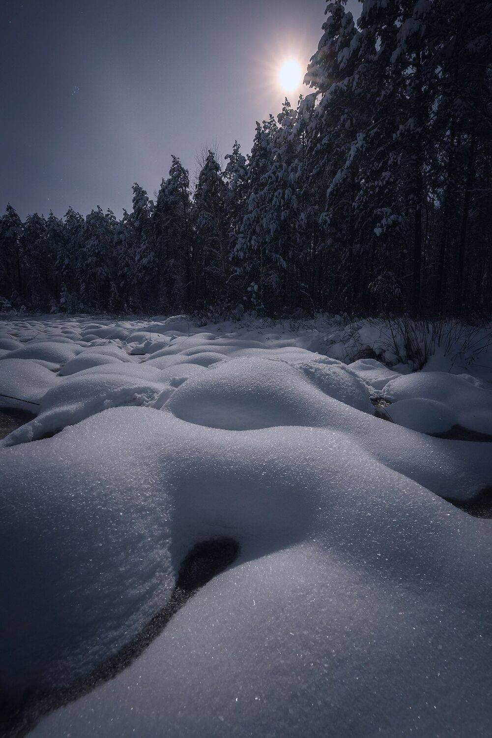 , Захаров Дмитрий