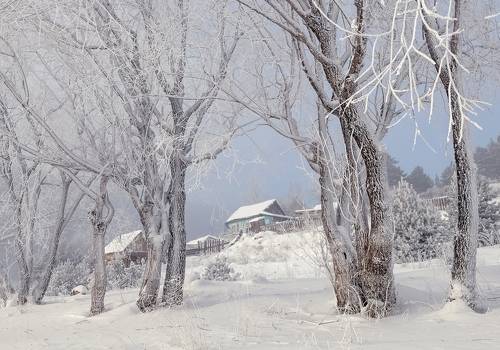 Когда деревья были большие...