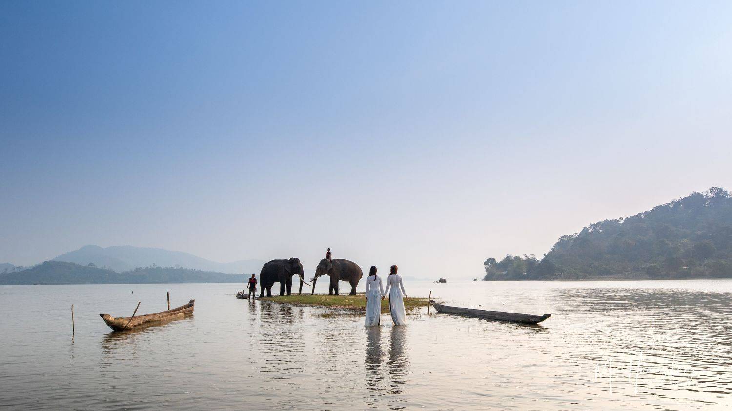 elephants, aodai, MAI HOANG LONG