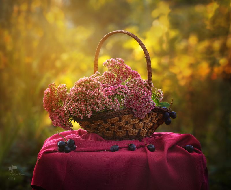 *** фото превью