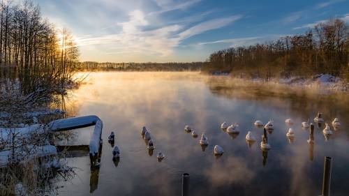 Скользящий над водой...