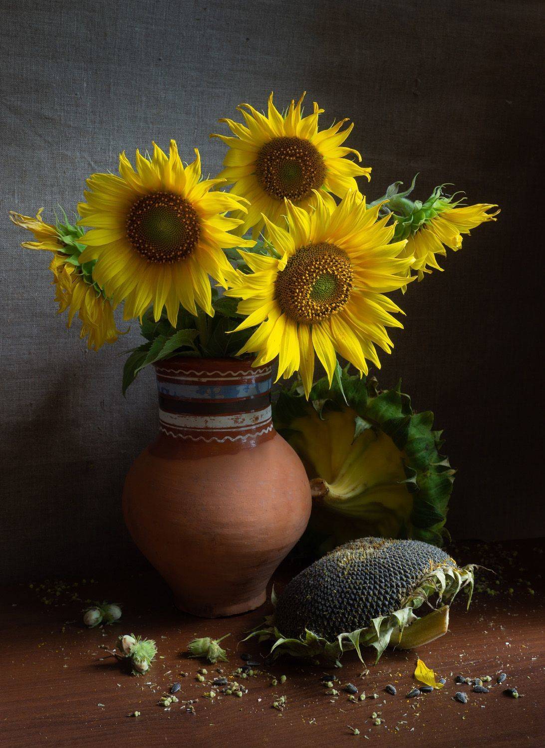 , Колеснева Елена