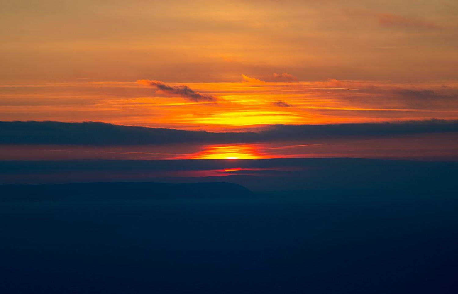 , Дзюба Нелли