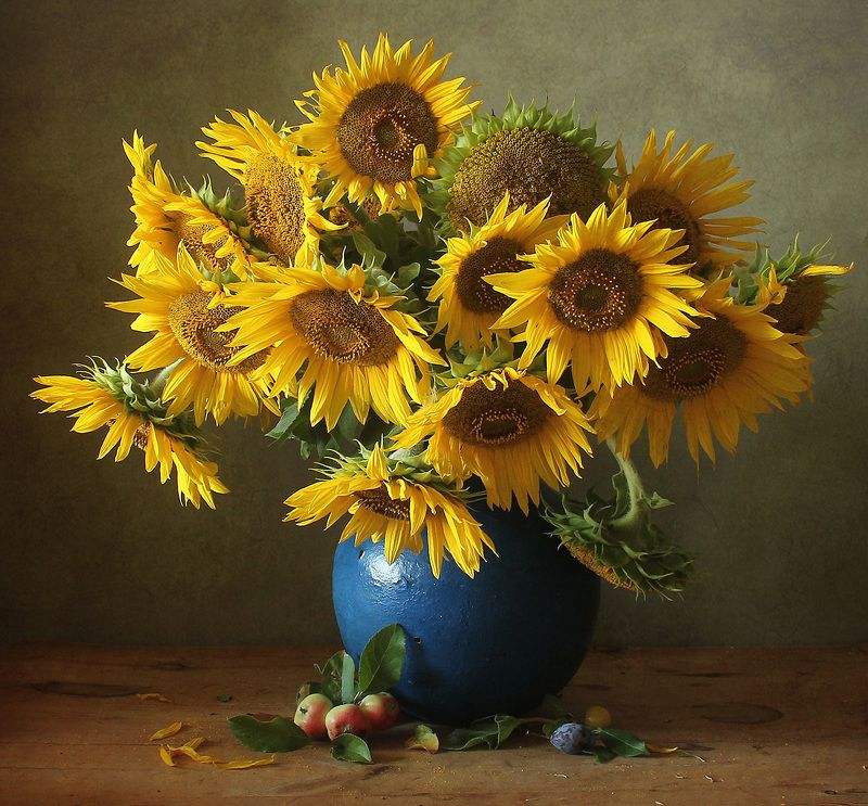 *** фото превью