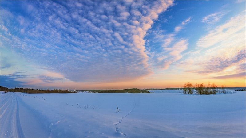 пейзаж, зима, вечер, деревня, свет, цвет, александр никитинский Деревенские просторы... фото превью