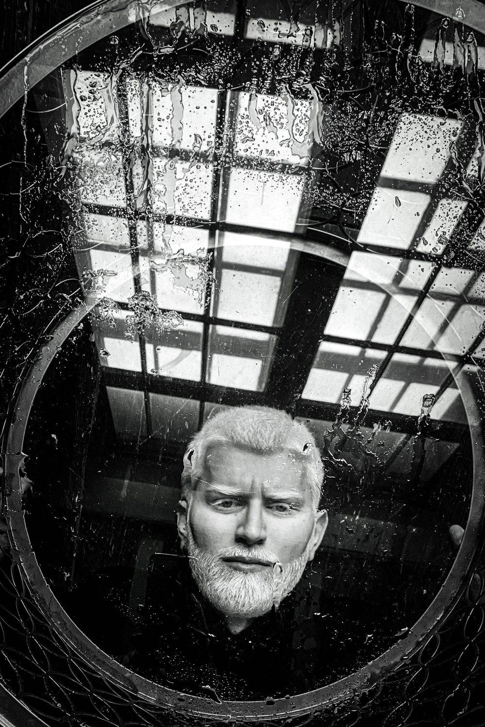 , Щеглова Марина