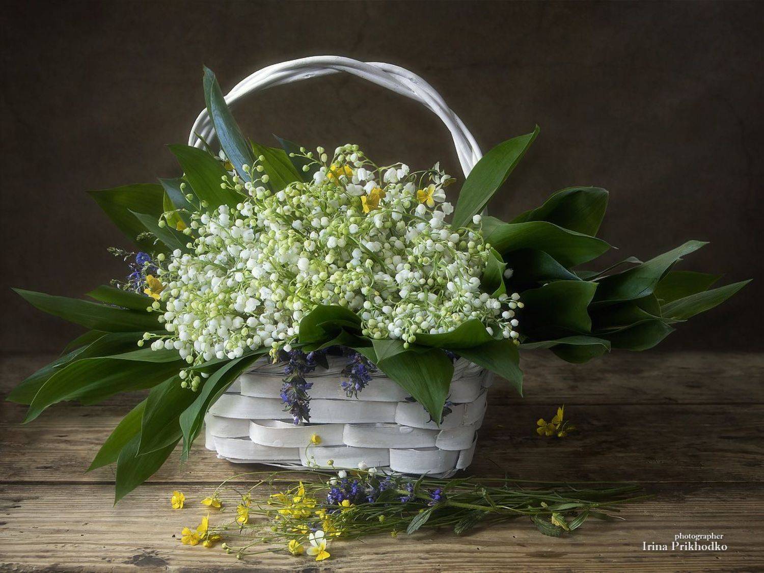 натюрморт, весна, ландыши, цветы, букеты, лесные цветы, Приходько Ирина