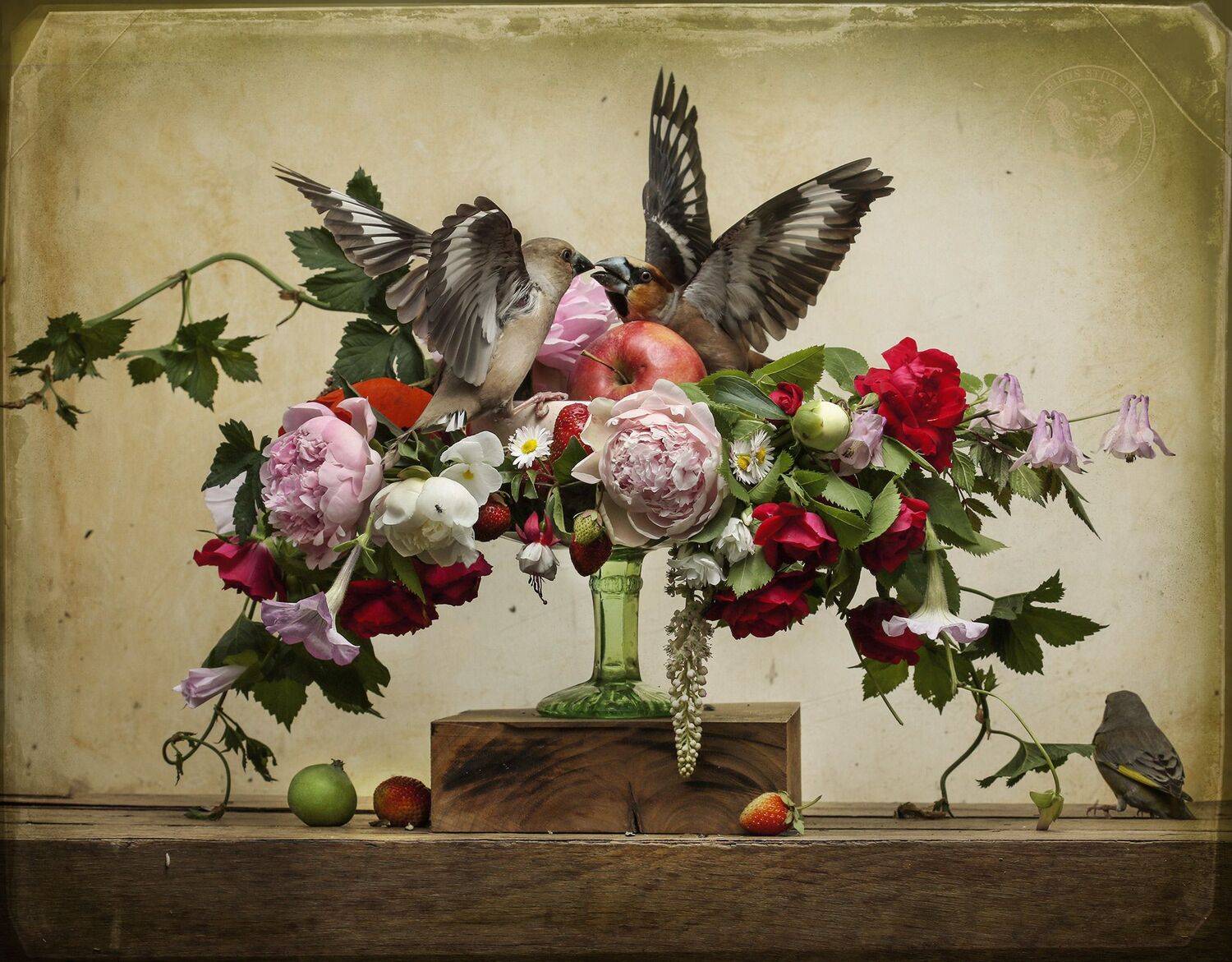 дубонос, Хромушин Олег