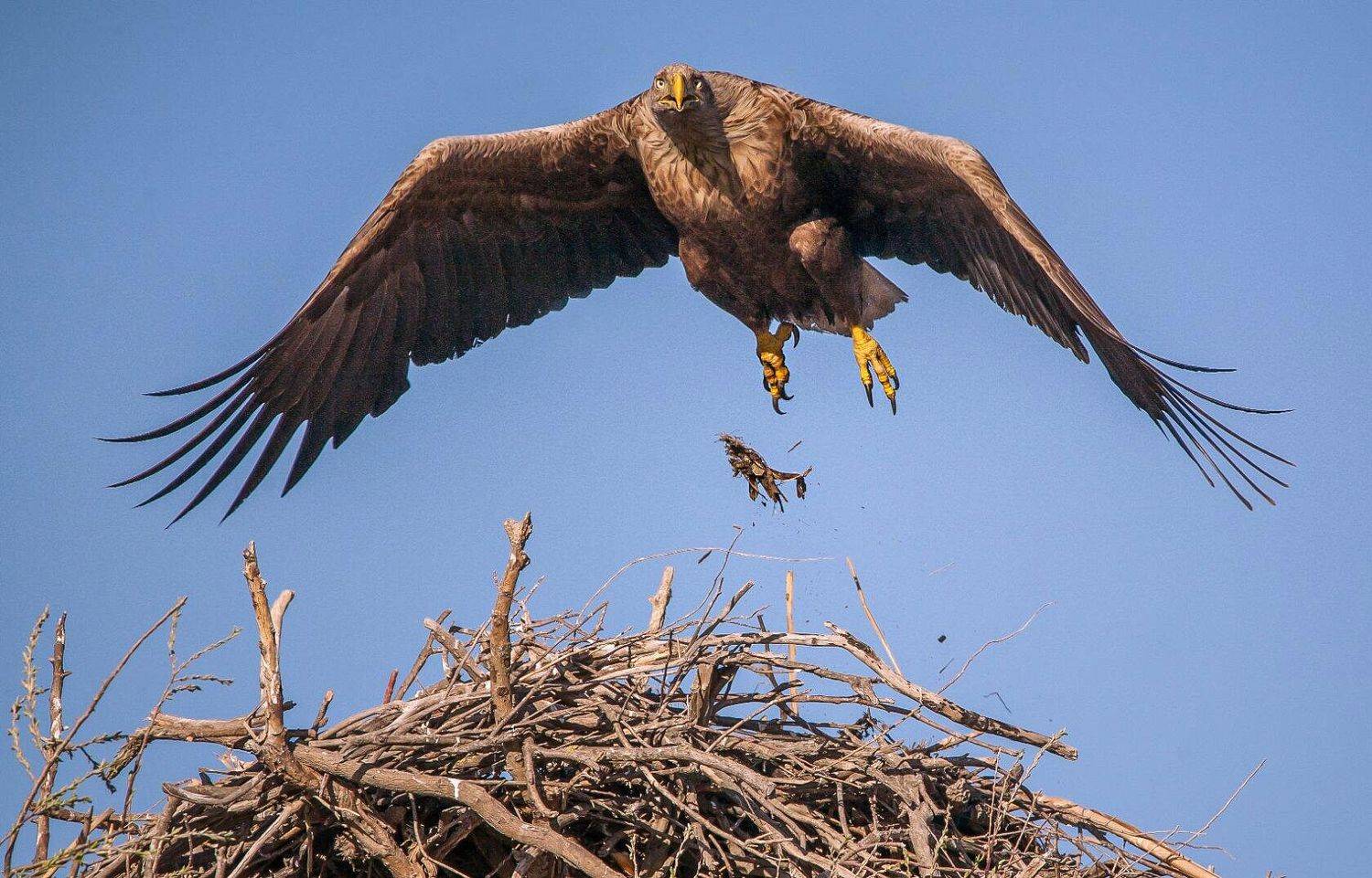 у села  камышово, Сергей цыбизов