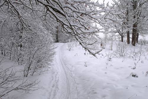 Плетёт зима ажурные узоры