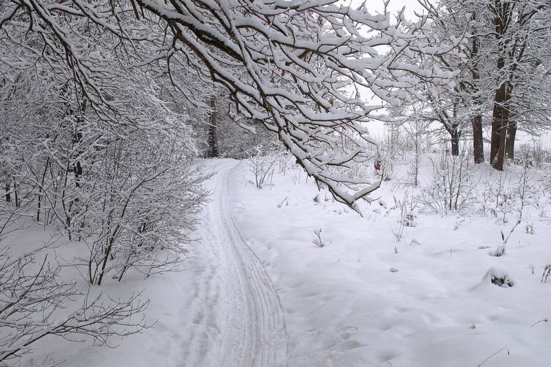 Плетёт зима ажурные узоры фото превью