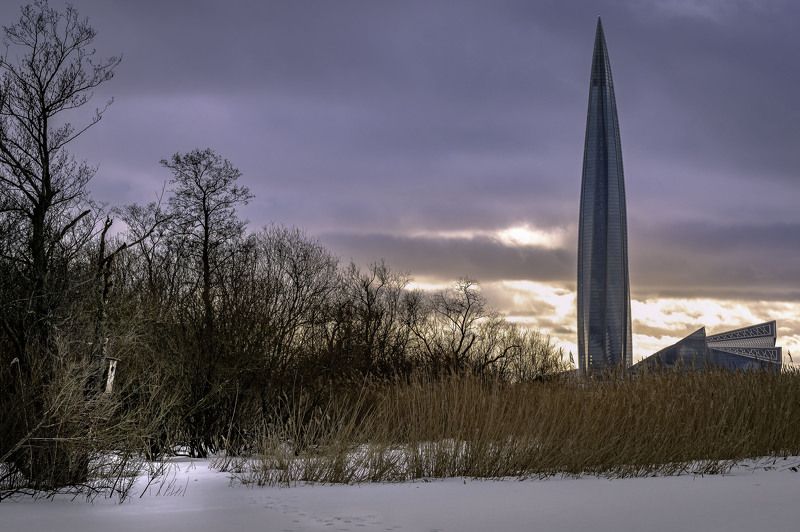 Скворечник и небоскреб фото превью