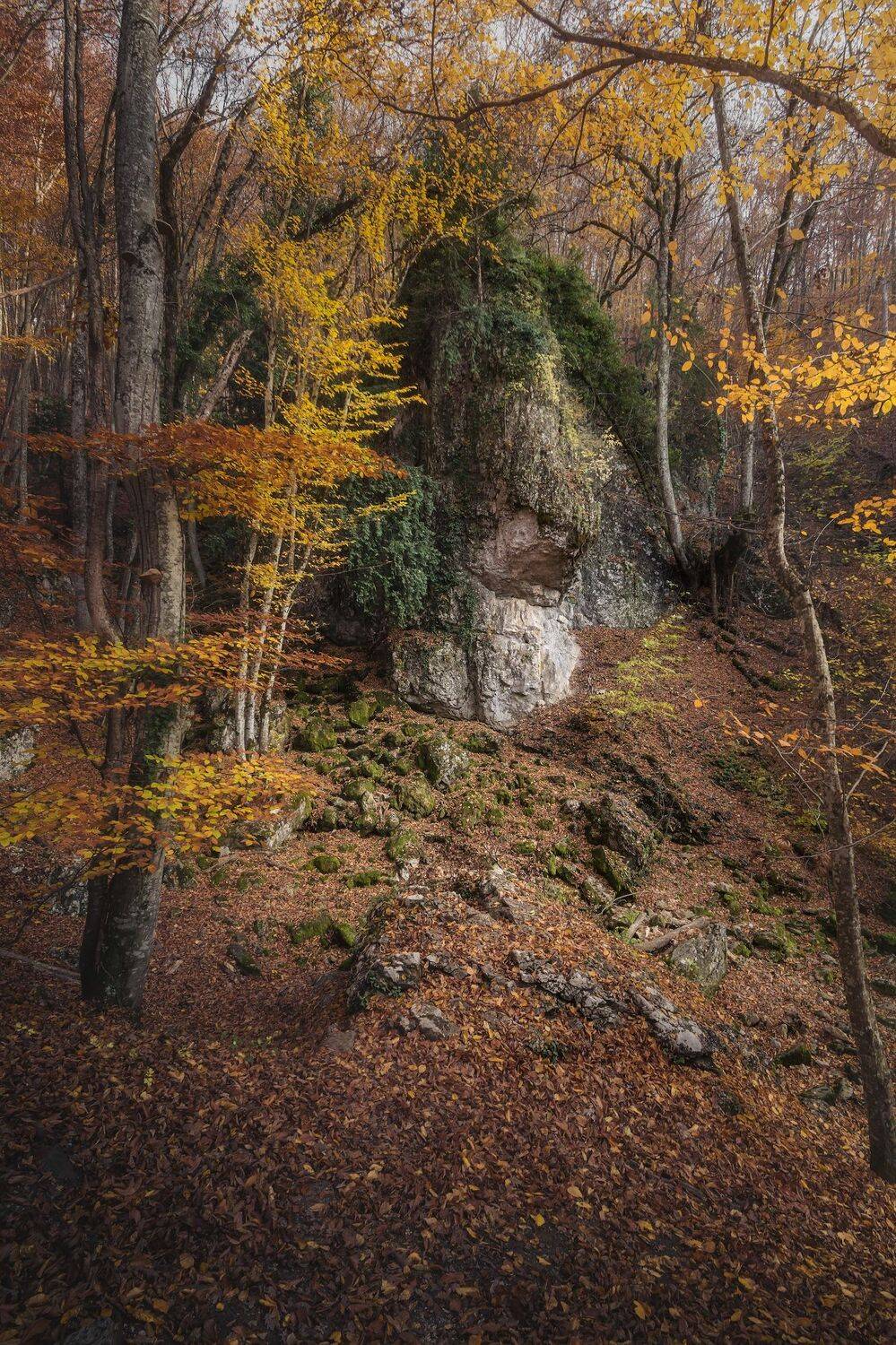 крым, большой каньон, осень,, Черкасов Сергей